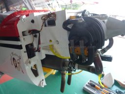 Motor assembly (10)